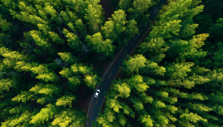 Stuttgart-Black-Forest-Road-Experience